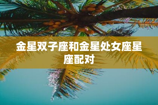 金星双子座和金星处女座星座配对