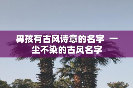 男孩有古风诗意的名字  一尘不染的古风名字