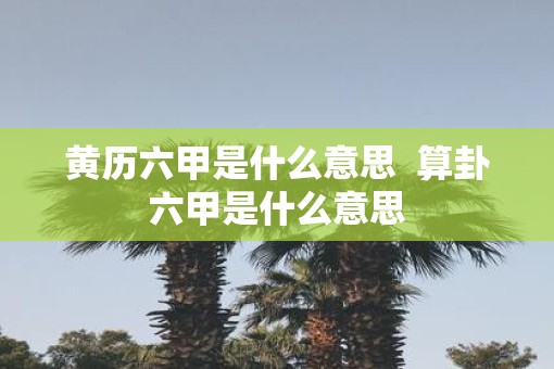黄历六甲是什么意思  算卦六甲是什么意思