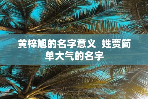 黄梓旭的名字意义  姓贾简单大气的名字