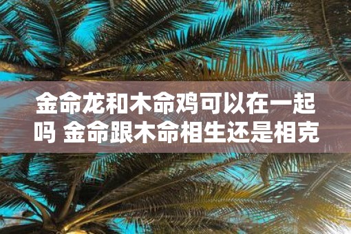 金命龙和木命鸡可以在一起吗 金命跟木命相生还是相克