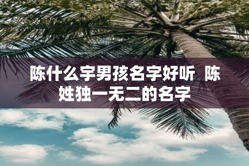 陈什么宇男孩名字好听  陈姓独一无二的名字