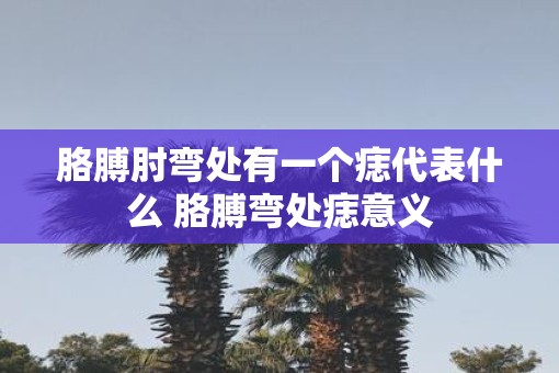 胳膊弯内侧有痣图解图片