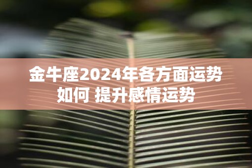 金牛座2025年各方面运势如何 提升感情运势