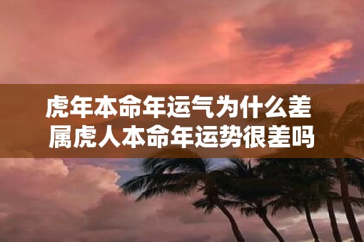 虎年本命年运气为什么差 属虎人本命年运势很差吗