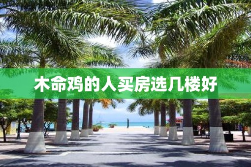 木命鸡的人买房选几楼好