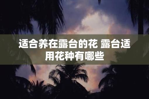 适合养在露台的花 露台适用花种有哪些