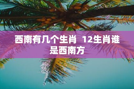 西南有几个生肖  12生肖谁是西南方