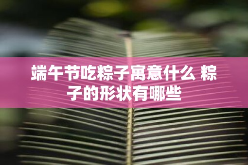 端午节吃粽子寓意什么 粽子的形状有哪些