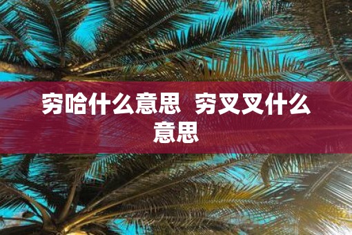穷哈什么意思  穷叉叉什么意思