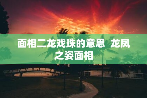 面相二龙戏珠的意思  龙凤之姿面相