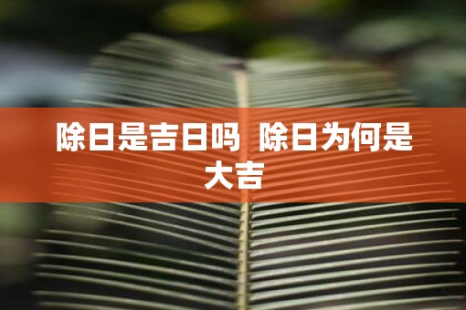 除日是吉日吗  除日为何是大吉