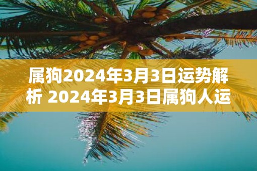 属狗2025年3月3日运势解析 2025年3月3日属狗人运势