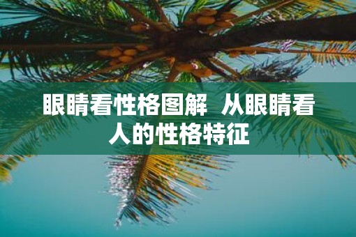 眼睛看性格图解  从眼睛看人的性格特征