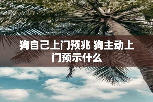 狗自己上门预兆 狗主动上门预示什么