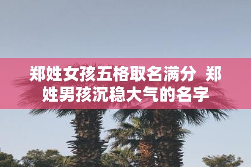 郑姓女孩五格取名满分  郑姓男孩沉稳大气的名字