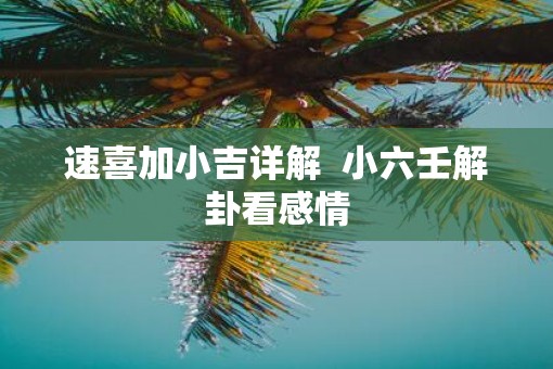 速喜加小吉详解  小六壬解卦看感情