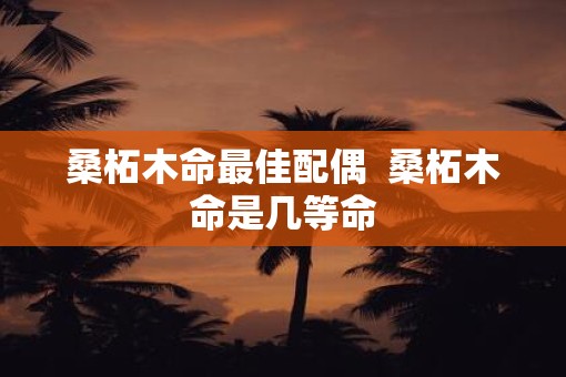 桑柘木命最佳配偶  桑柘木命是几等命