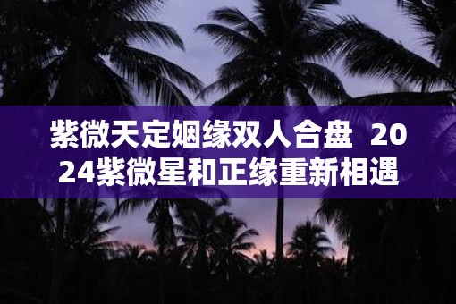 紫微天定姻缘双人合盘  2025紫微星和正缘重新相遇