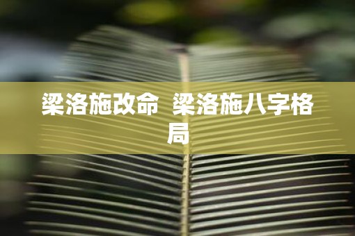 梁洛施改命  梁洛施八字格局