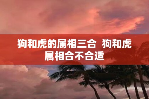 狗和虎的属相三合  狗和虎属相合不合适