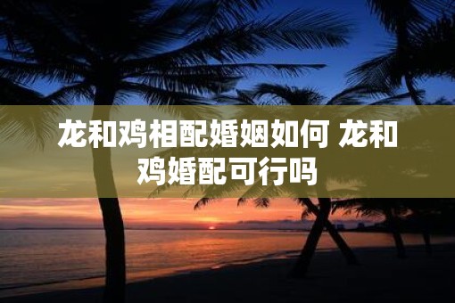 龙和鸡相配婚姻如何 龙和鸡婚配可行吗