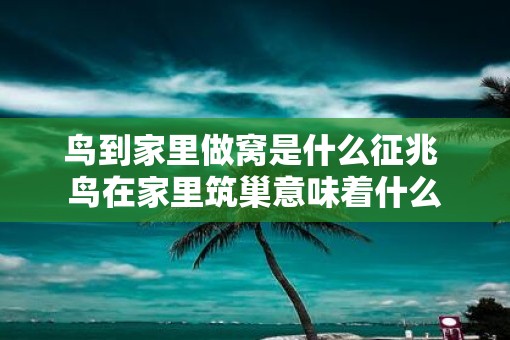 鸟到家里做窝是什么征兆 鸟在家里筑巢意味着什么