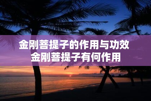 金刚菩提子的作用与功效 金刚菩提子有何作用