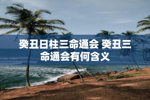 癸丑日柱三命通会 癸丑三命通会有何含义