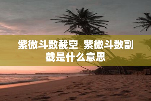 紫微斗数截空  紫微斗数副截是什么意思