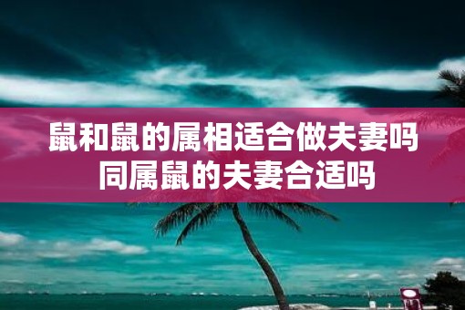 鼠和鼠的属相适合做夫妻吗 同属鼠的夫妻合适吗