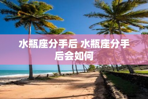 水瓶座分手后 水瓶座分手后会如何