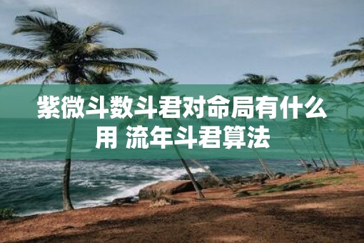 紫微斗数斗君对命局有什么用 流年斗君算法