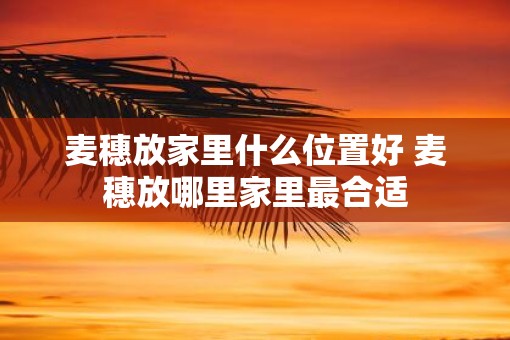麦穗放家里什么位置好 麦穗放哪里家里最合适