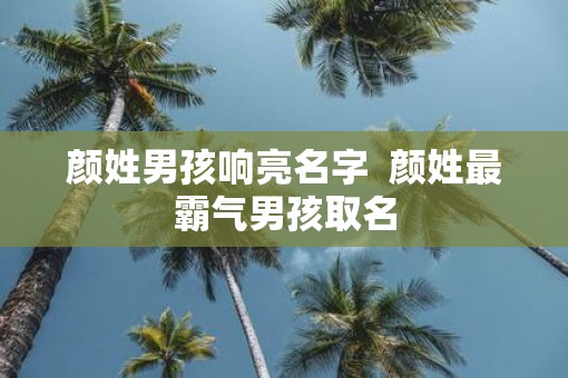颜姓男孩响亮名字  颜姓最霸气男孩取名