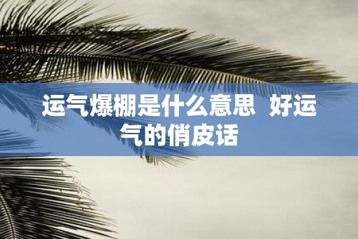 运气爆棚是什么意思  好运气的俏皮话