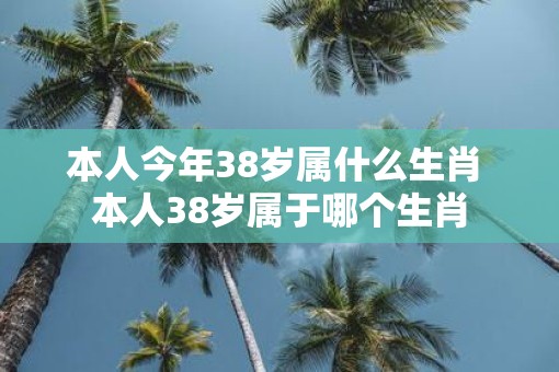 本人今年38岁属什么生肖 本人38岁属于哪个生肖