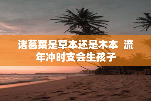 诸葛菜是草本还是木本  流年冲时支会生孩子