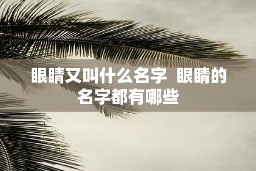 眼睛又叫什么名字  眼睛的名字都有哪些