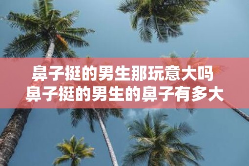 鼻子挺的男生那玩意大吗 鼻子挺的男生的鼻子有多大