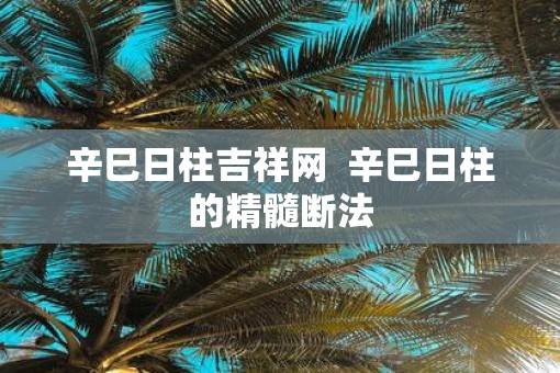 辛巳日柱吉祥网  辛巳日柱的精髓断法