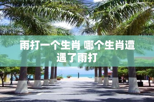 雨打一个生肖 哪个生肖遭遇了雨打
