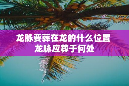 龙脉要葬在龙的什么位置 龙脉应葬于何处