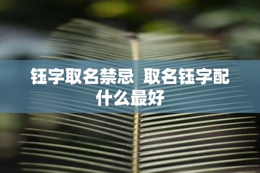 钰字取名禁忌  取名钰字配什么最好
