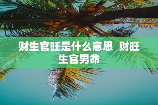 财生官旺是什么意思  财旺生官男命
