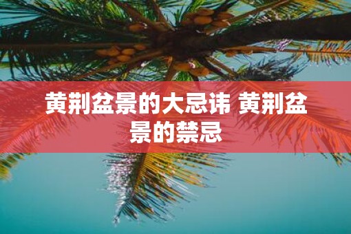 黄荆盆景的大忌讳 黄荆盆景的禁忌