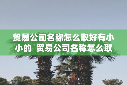 贸易公司名称怎么取好有小小的  贸易公司名称怎么取好有小小的名字