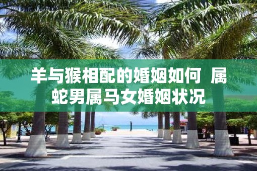 羊与猴相配的婚姻如何  属蛇男属马女婚姻状况