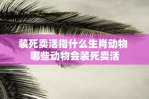 装死卖活指什么生肖动物 哪些动物会装死卖活