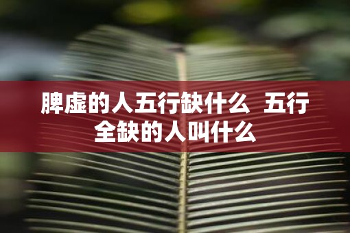 脾虚的人五行缺什么  五行全缺的人叫什么
